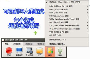 錄屏小將OCam 全能錄屏截圖錄音，專業(yè)攝影服務(wù)一應(yīng)俱全
